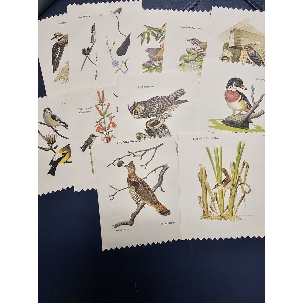 Eatons Mayfair Vellum Stationery Cards Name Tags Birds Vintage With Original Box - Picture 3 of 4